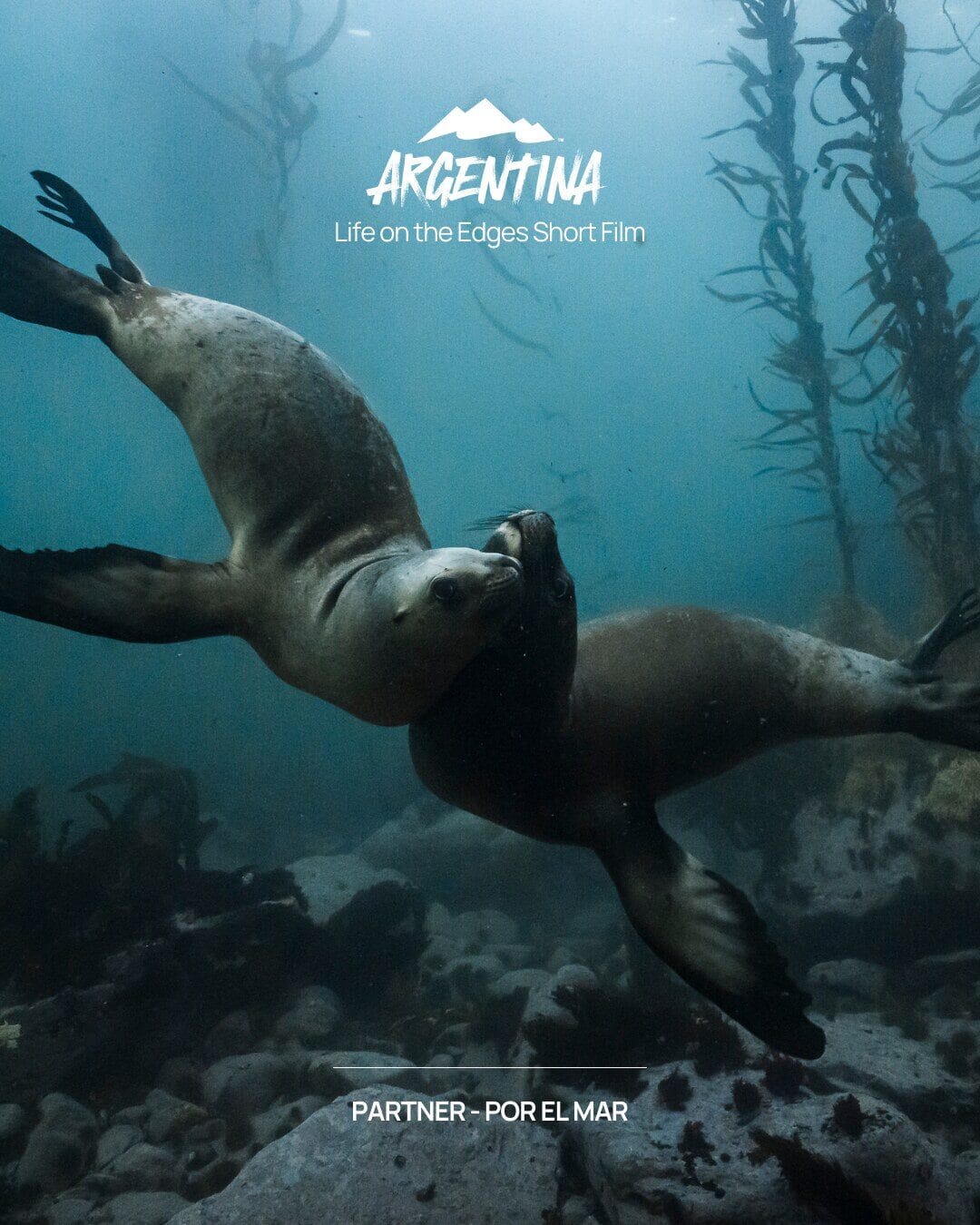Argentina - Life on the Edges Short Film - Partner: Por El Mar