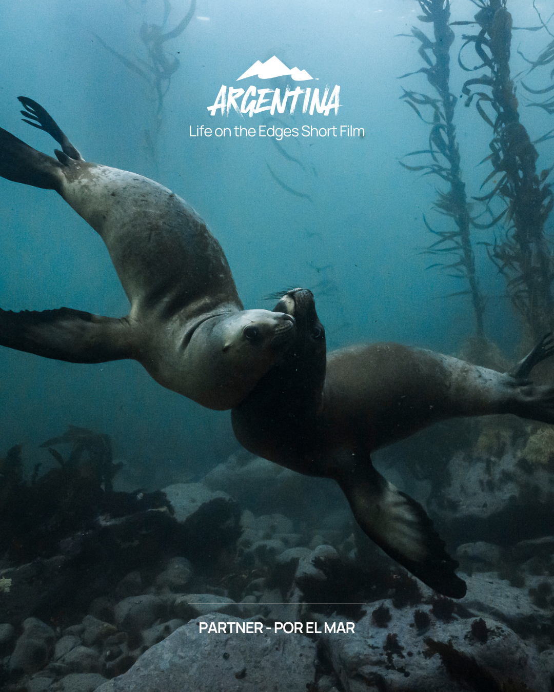 Argentina - Life on the Edges Short Film - Partner: Por El Mar