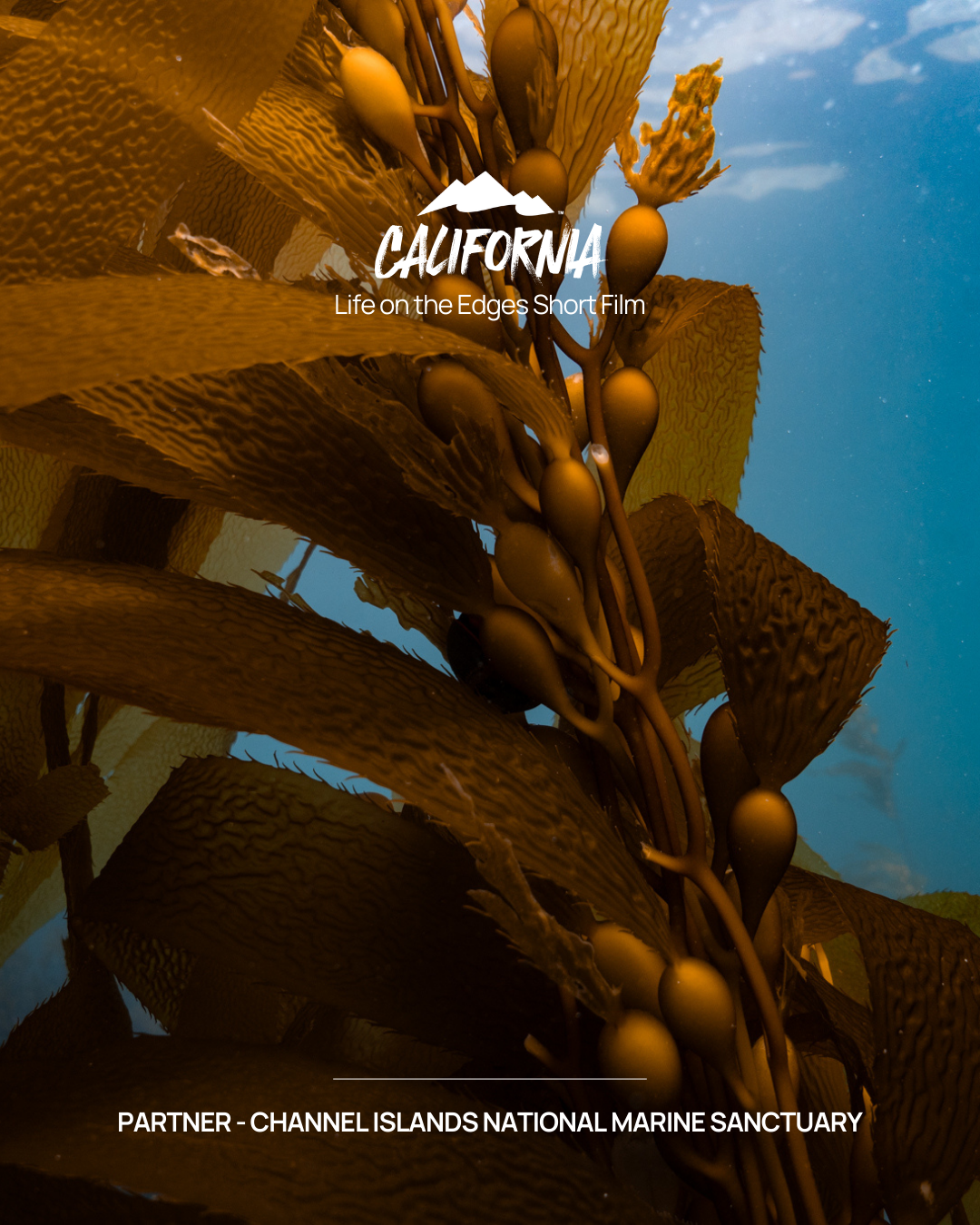 California - Life on the Edges Short Film - Partner: Channel Islands National Marine Sanctuary