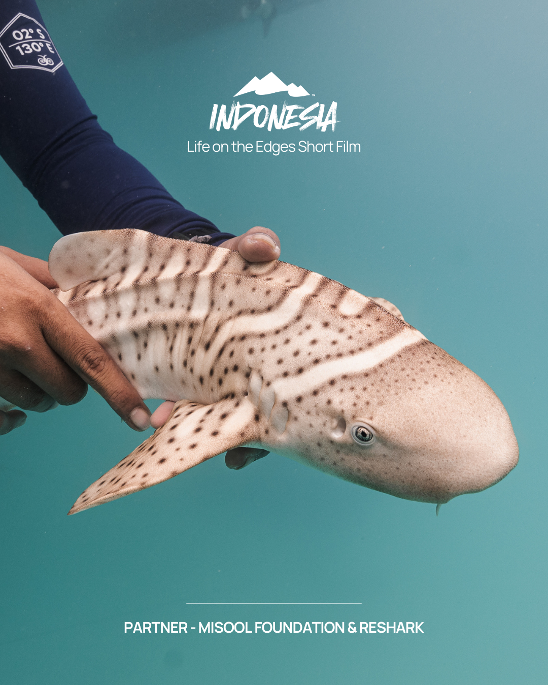 Indonesia - Life on the Edges Short Film - Partner: Misool Foundation & ReShark