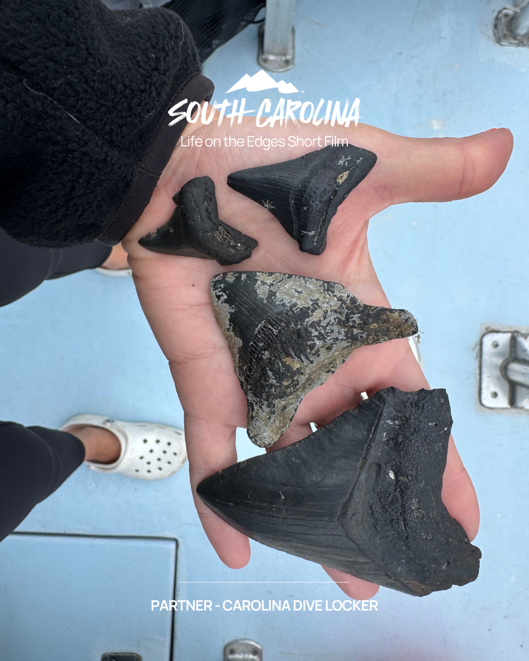South Carolina - Life on the Edges Short Film - Partner: Carolina Dive Locker
