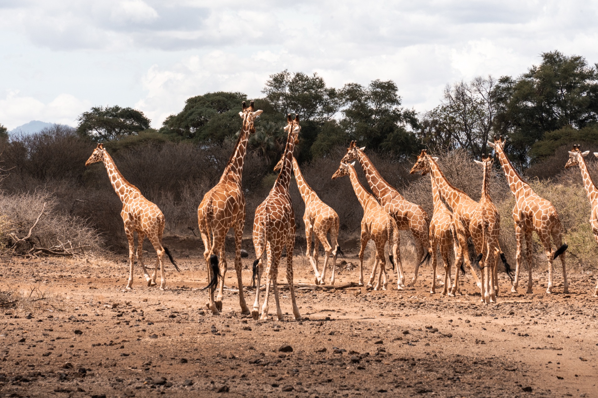 Land & Life Foundation, East Africa