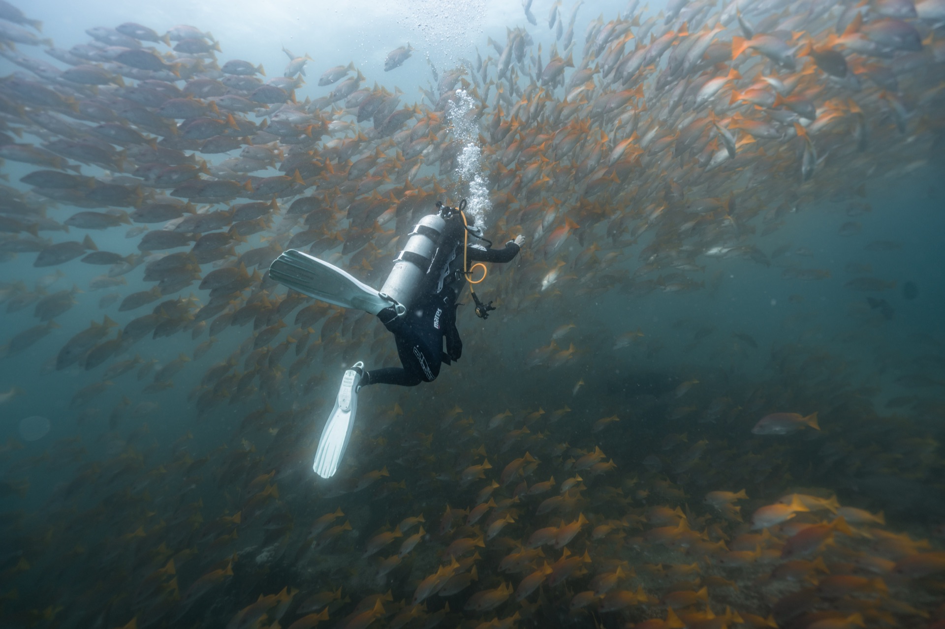 Cabo Pulmo National Park, Mexico