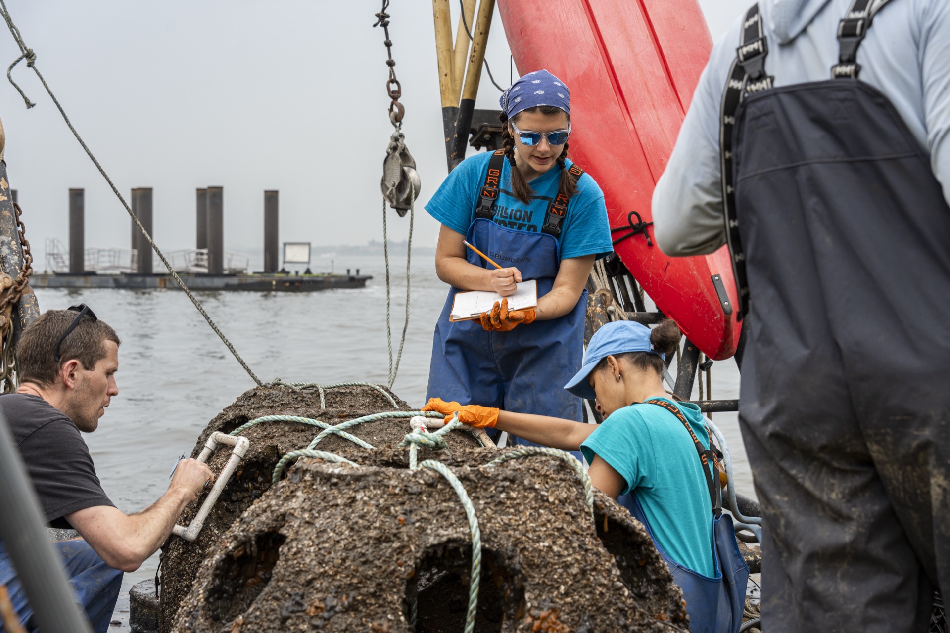 Billion Oyster Project, New York, USA
