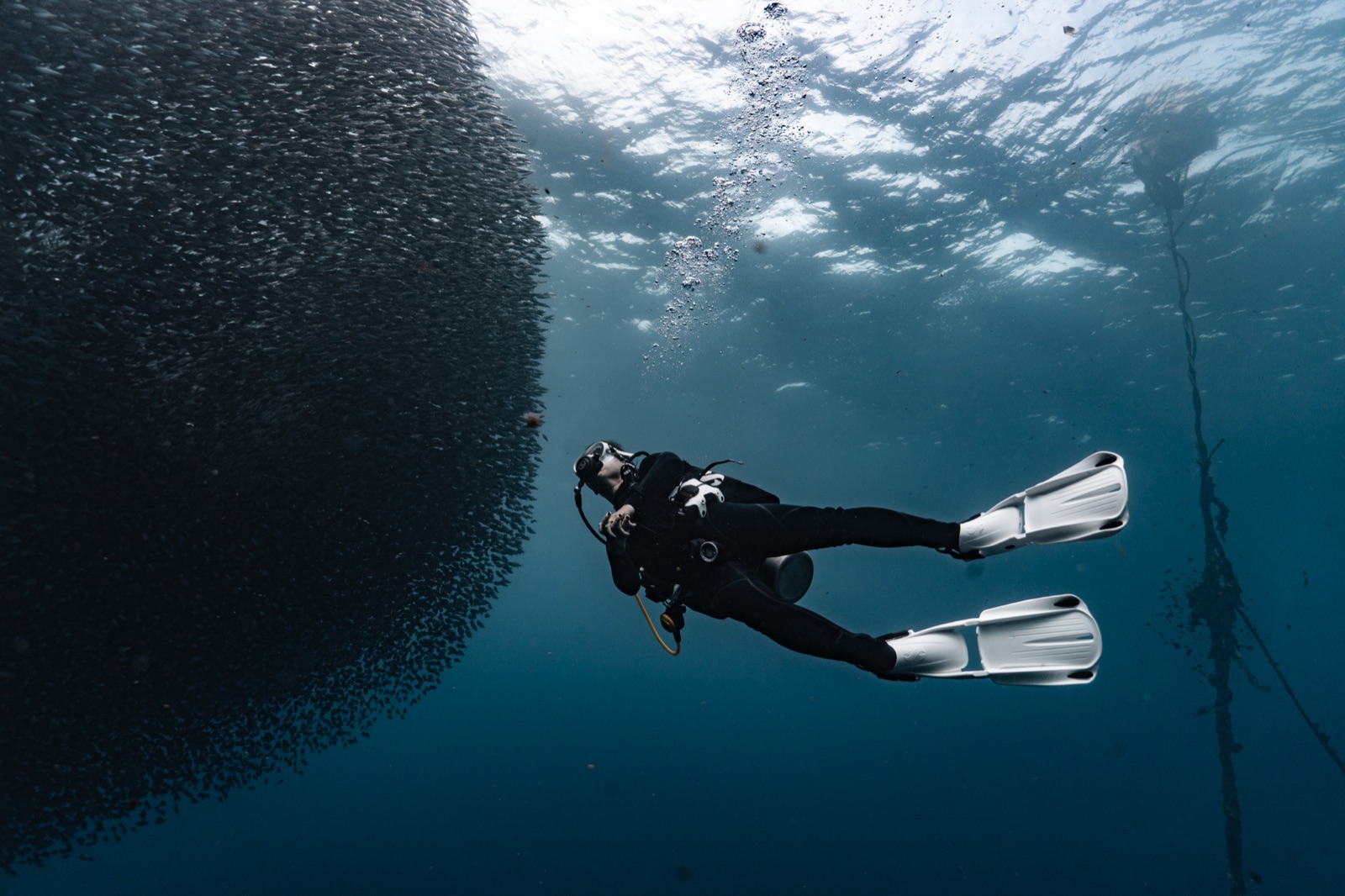 Community-driven marine conservation in Moalboal, Philippines