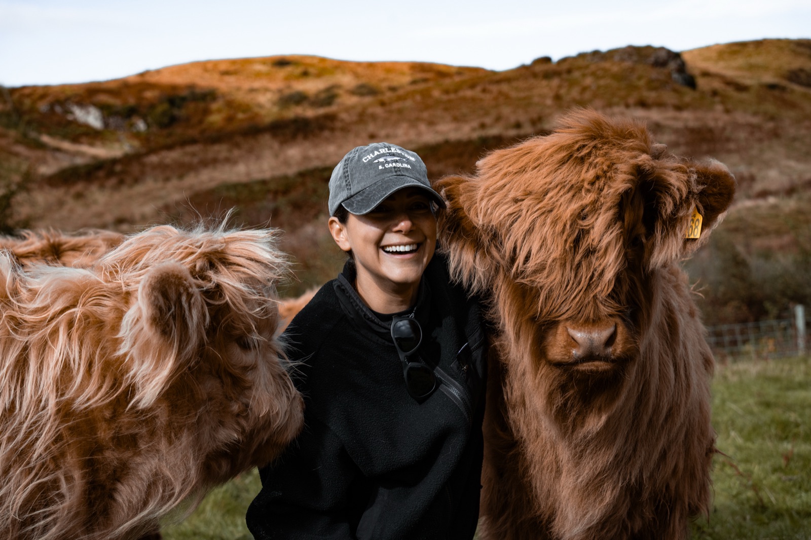 Scottish Highlands expedition, documenting rewilding efforts