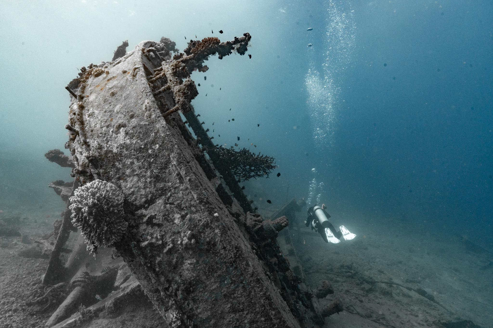 Wreck diving expedition, diver exploring a coral-encrusted shipwreck