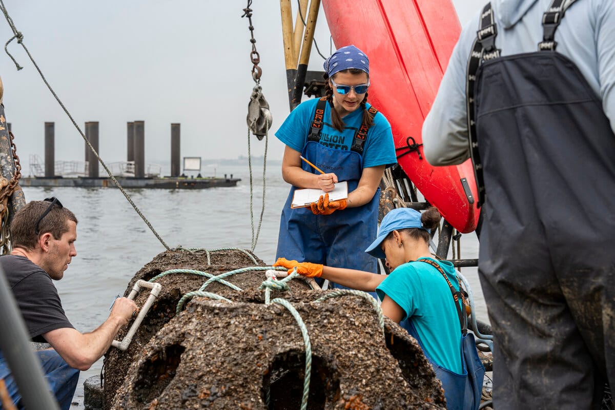 Billion Oyster Project team analyzing a reef ball in New York